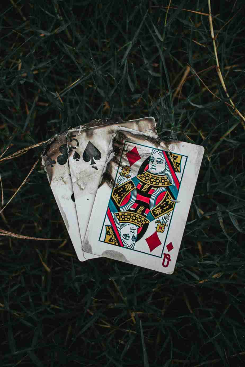 Plinko Casino Free Spins: Unlock the Best Plinko Bonuses and Play for Free